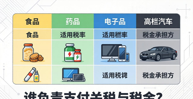 谁负责支付关税与税金？